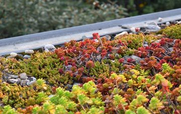 the cost of Mill Of Rango green roof installation