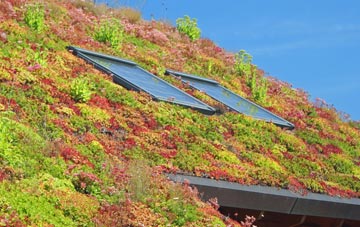 Mill Of Rango living roof systems