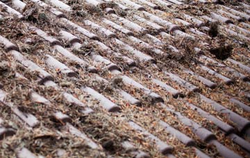 Mill Of Rango roof cleaning companies