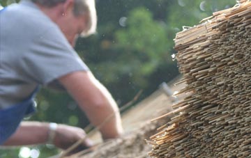 professional Mill Of Rango thatchers