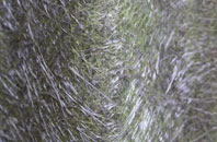 Mill Of Rango fibreglass roof work